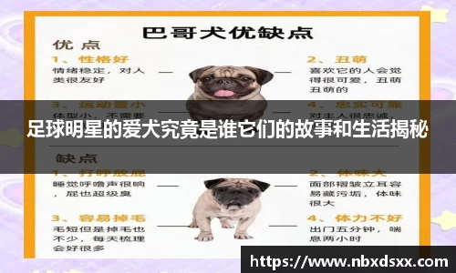 足球明星的爱犬究竟是谁它们的故事和生活揭秘